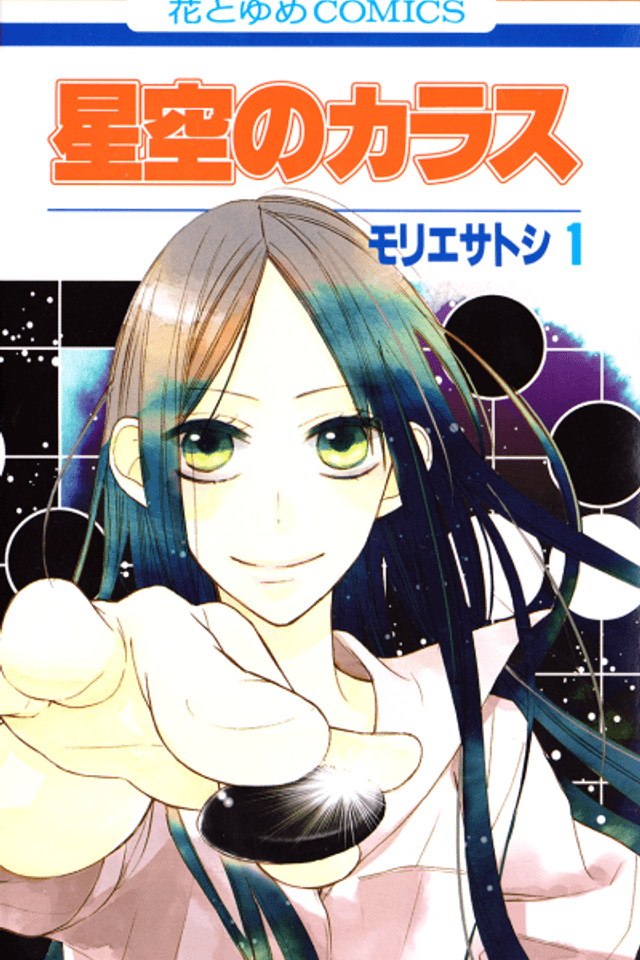 Crow in the Starry Sky
