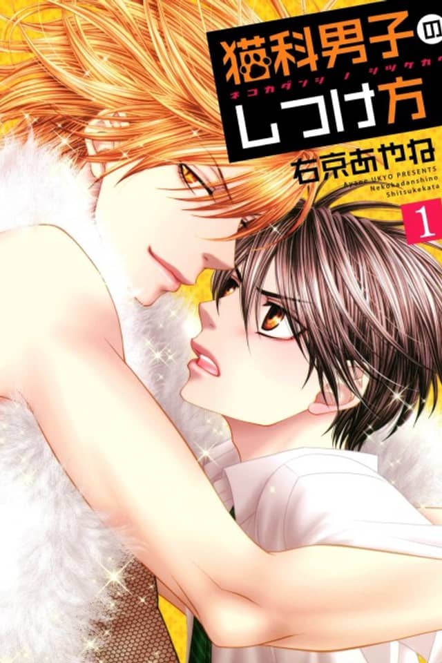 Nekoka Danshi no Shitsukekata