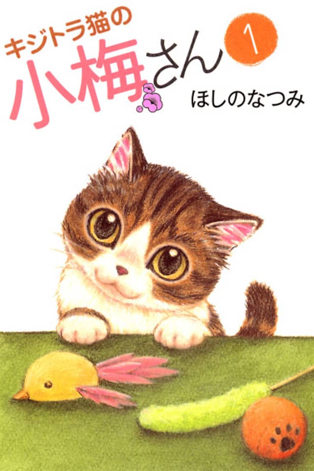 Plum Crazy! Tales of a Tiger-Striped Cat