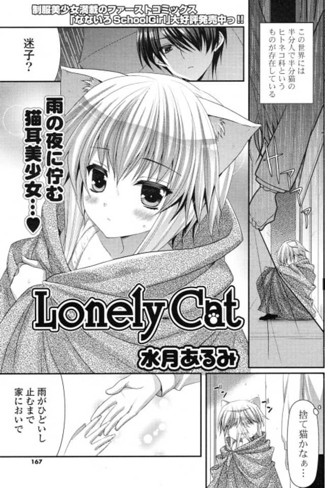 Lonely Cat