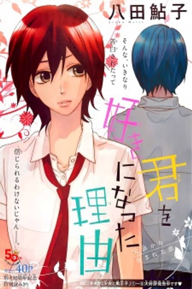 Kimi wo Suki ni Natta Riyuu