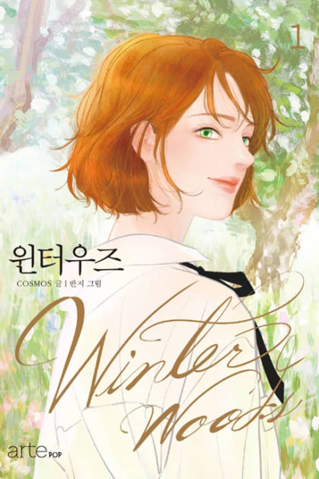 Winter Woods