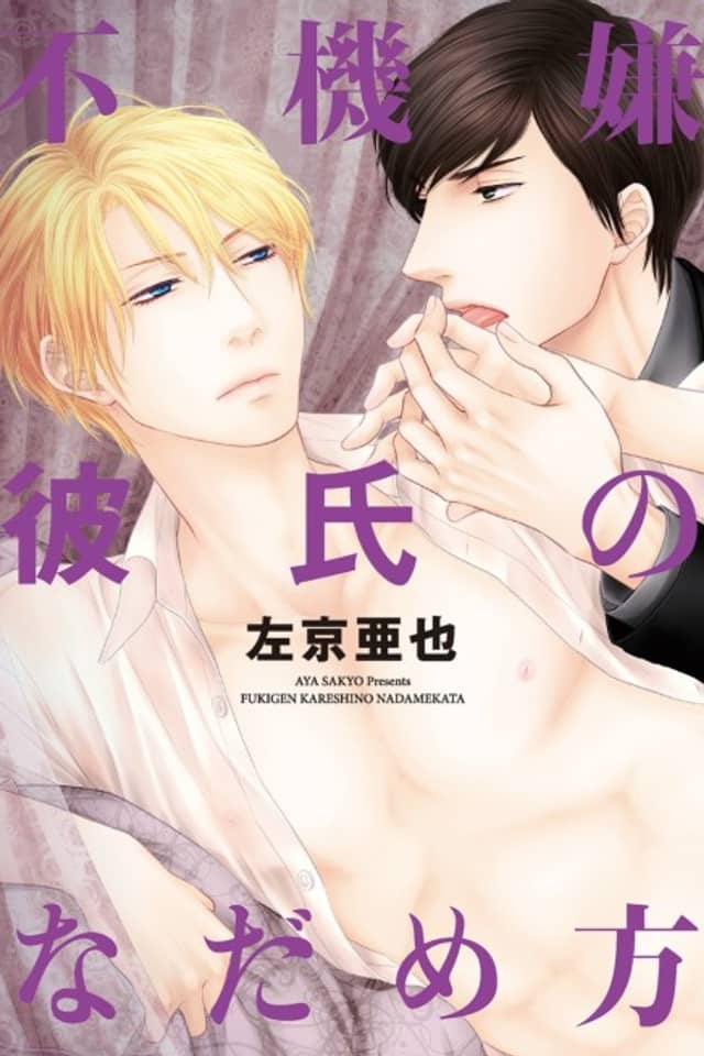 Fukigen Kareshi no Nadamekata