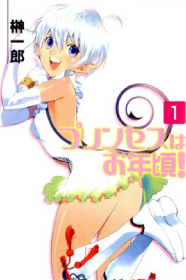 Princess wa Otoshigoro!