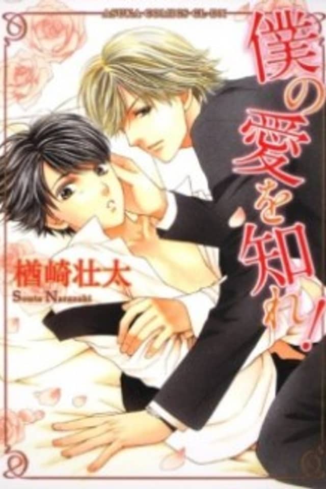 Boku no Ai o Shire!