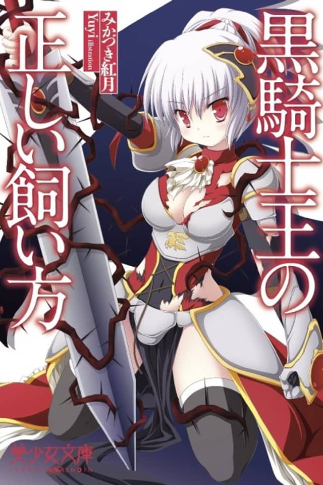 Kurokishi Ou no Tadashi Kaikata