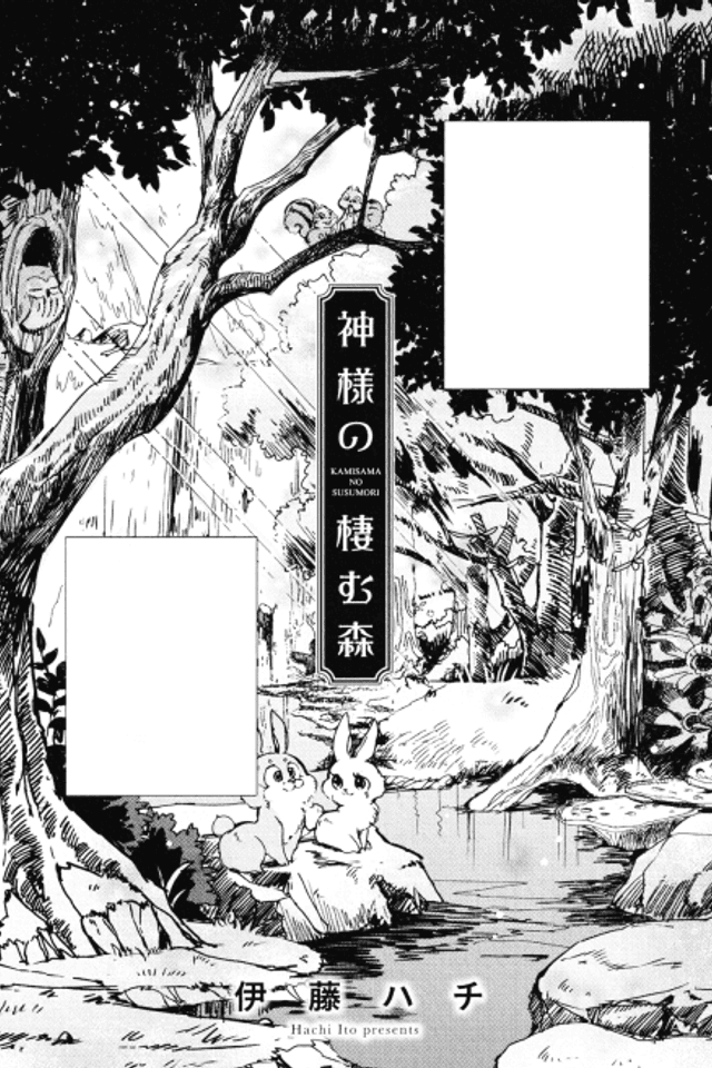 The Forest Where the Goddess Lives