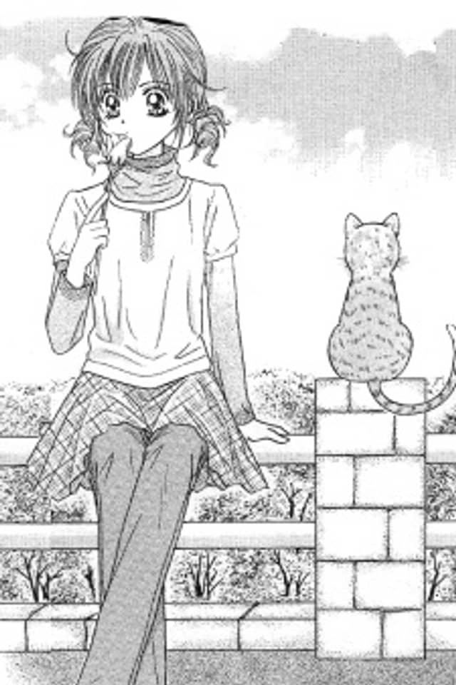 Travel To The Cats' Territory