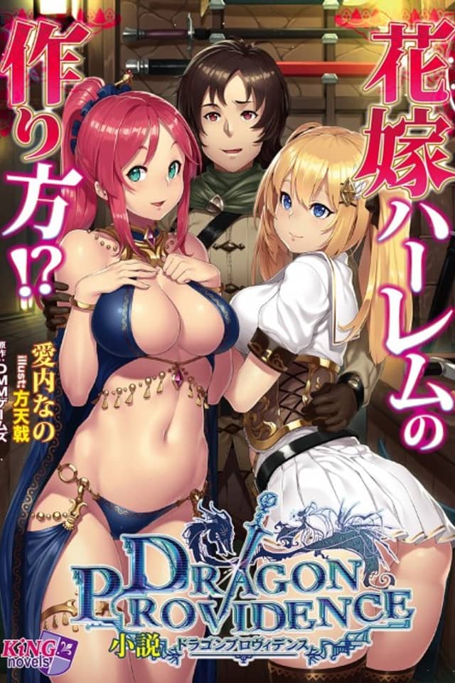 Shousetsu Dragon Providence: Hanayome Harem no Tsukurikata!?