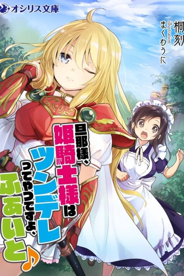 Dannasama, Himekishi-sama wa Tsundere tte Yatsu desu yo, Fight♪