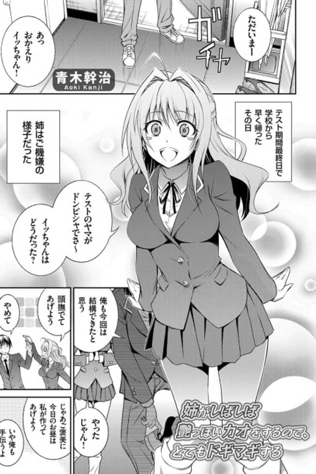 Ane ga Shibashiba Tsuyappoi Kao wo Suru node, Totemo Dogimagi suru