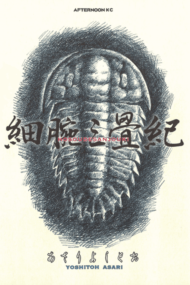 Hosoudesanjouki