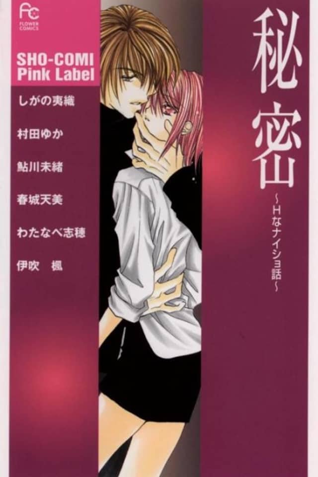 Himitsu - H na Naishobanashi