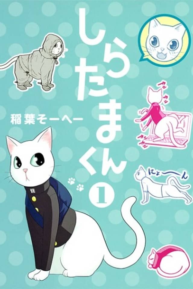 Shiratama-kun