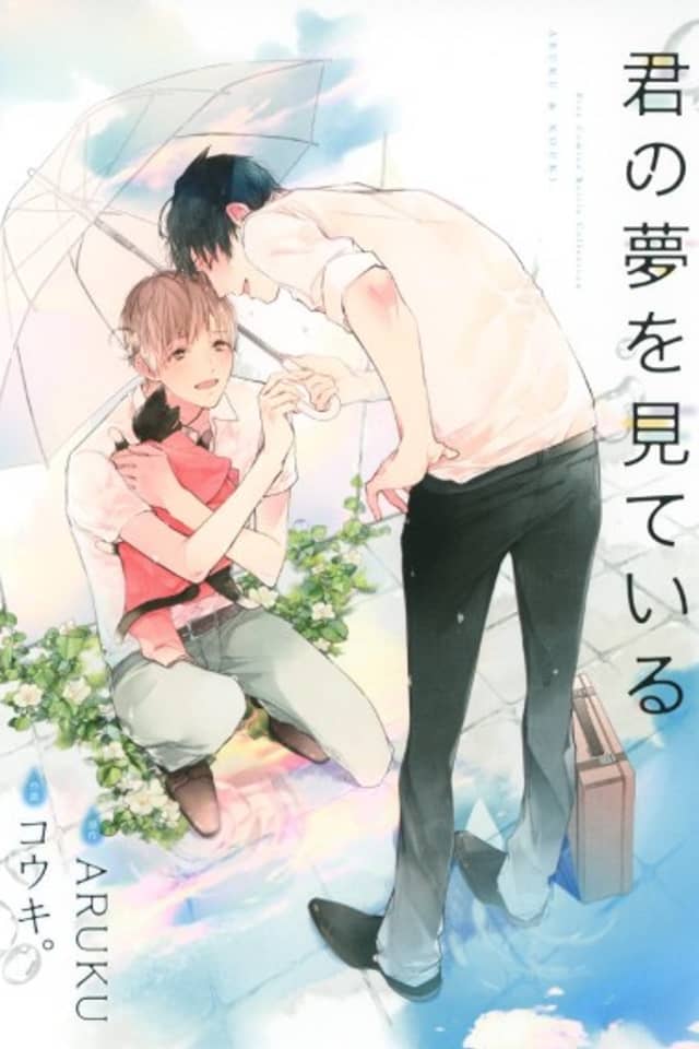 Kimi no Yume o Mite Iru
