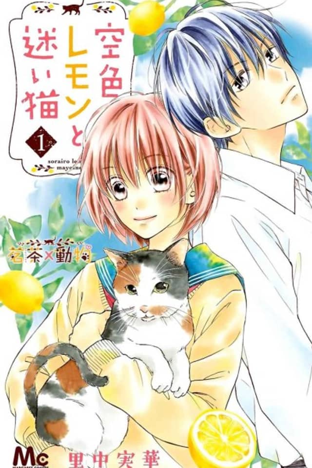 Sky Blue Lemon and a Lost Cat