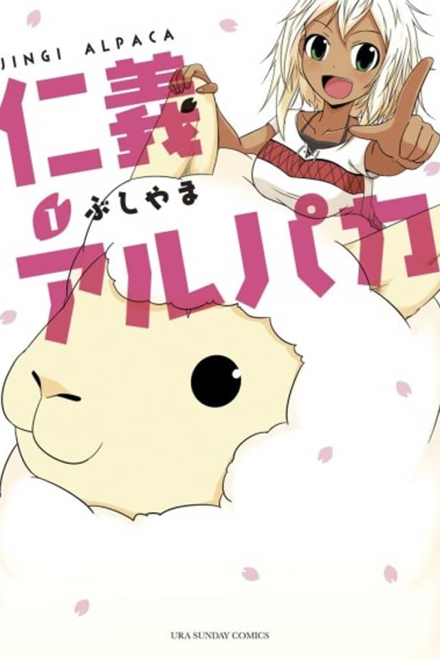 Jingi Alpaca