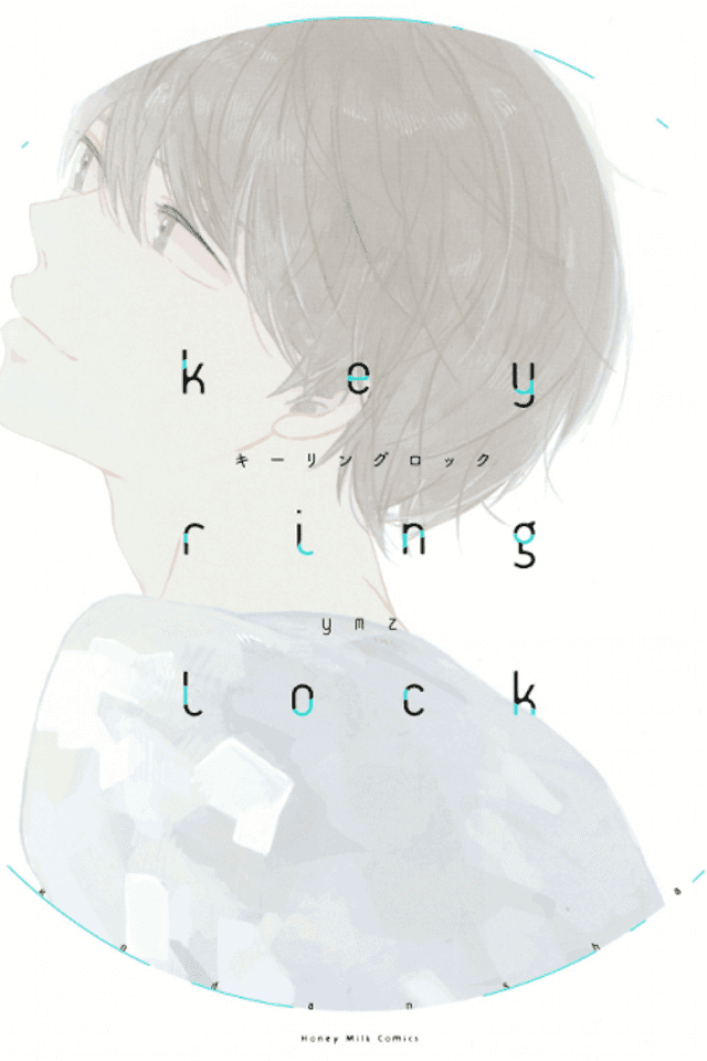 Key Ring Lock