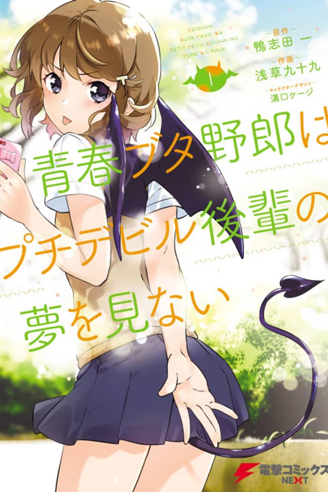 Rascal Does Not Dream of Petite Devil Kohai
