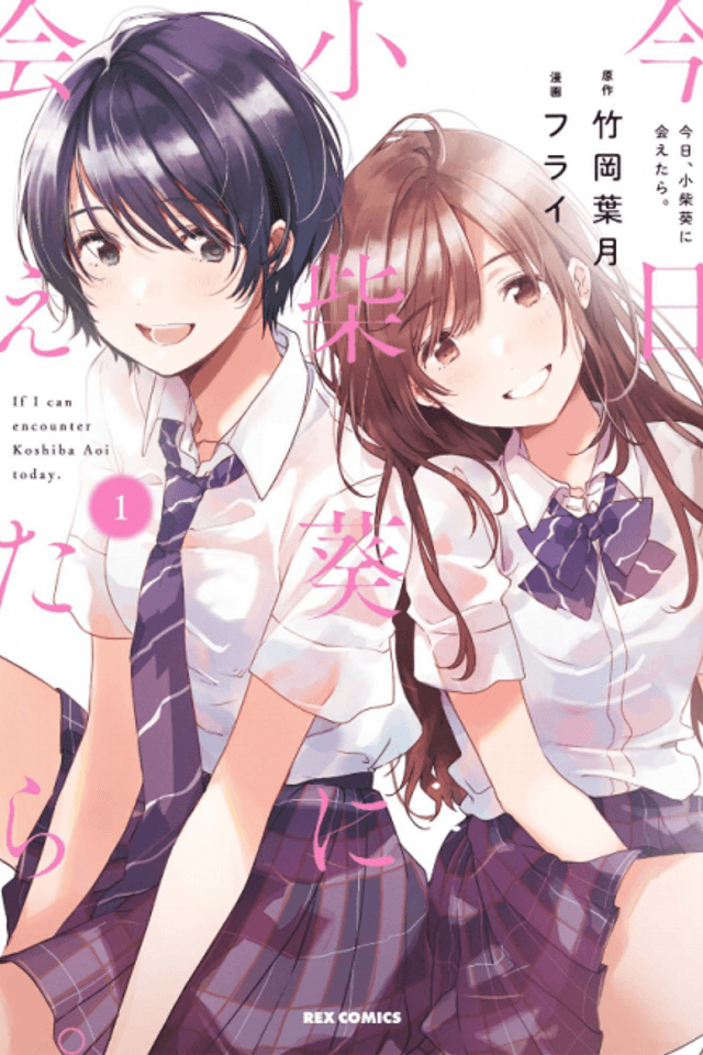 Chasing After Aoi Koshiba
