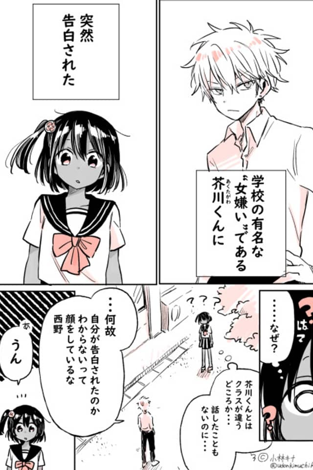 Gakkou Ichi no Onnagirai-kun ni Kokuhaku Sareta Hanashi