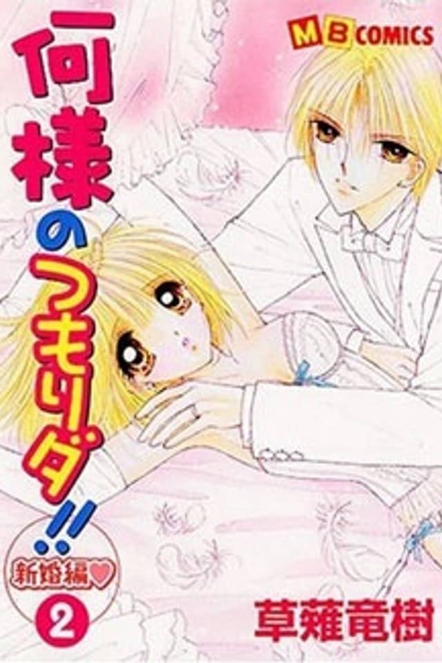 Nani-sama no Tsumorida!! Shinkonhen