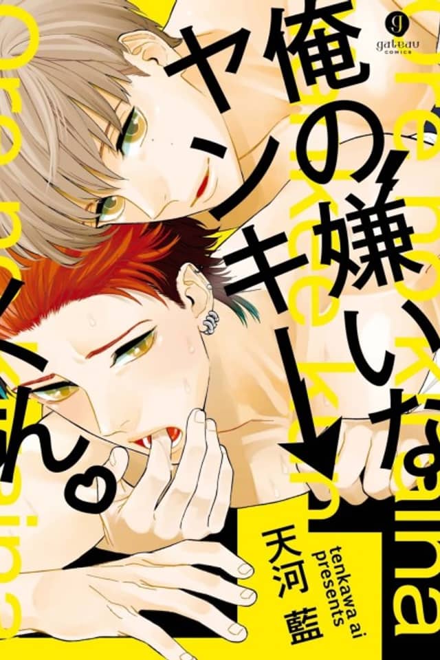 Ore no Kirai na Yankee-kun