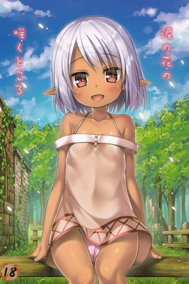 Namida no Hana no Saku Tokoro