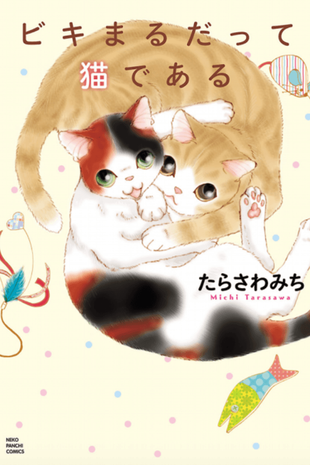 Biki Maru Datte Neko de Aru