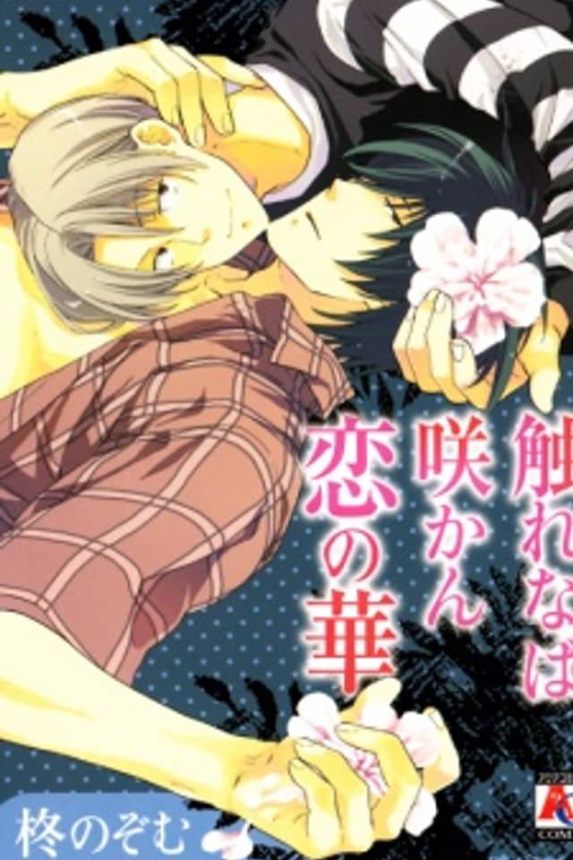 Furenaba Sakan Koi no Hana
