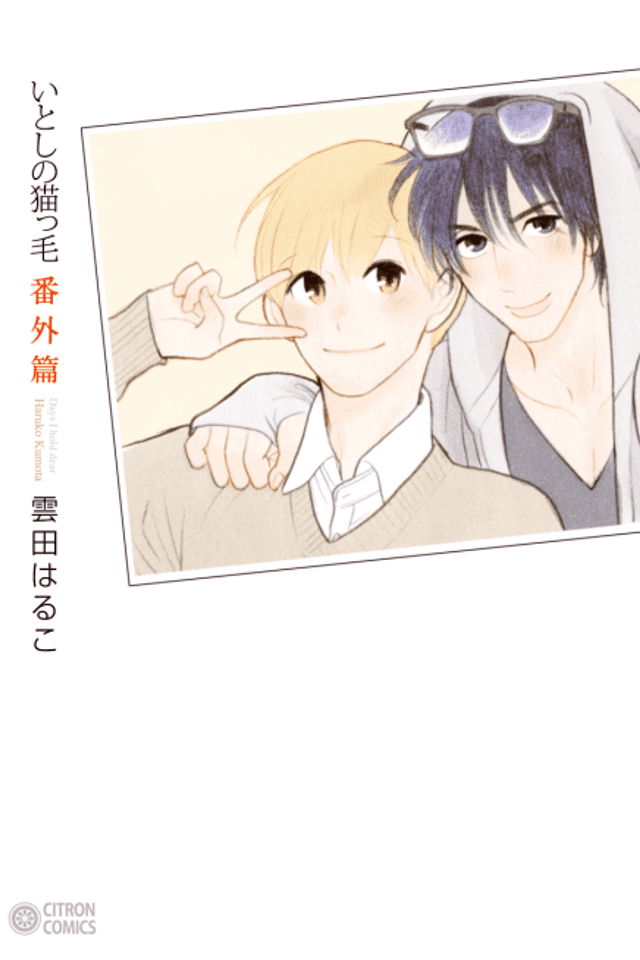 Itoshi no Nekokke: Ban Gaihen