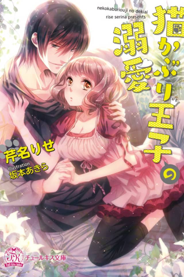 Nekokaburi Ouji no Dekiai