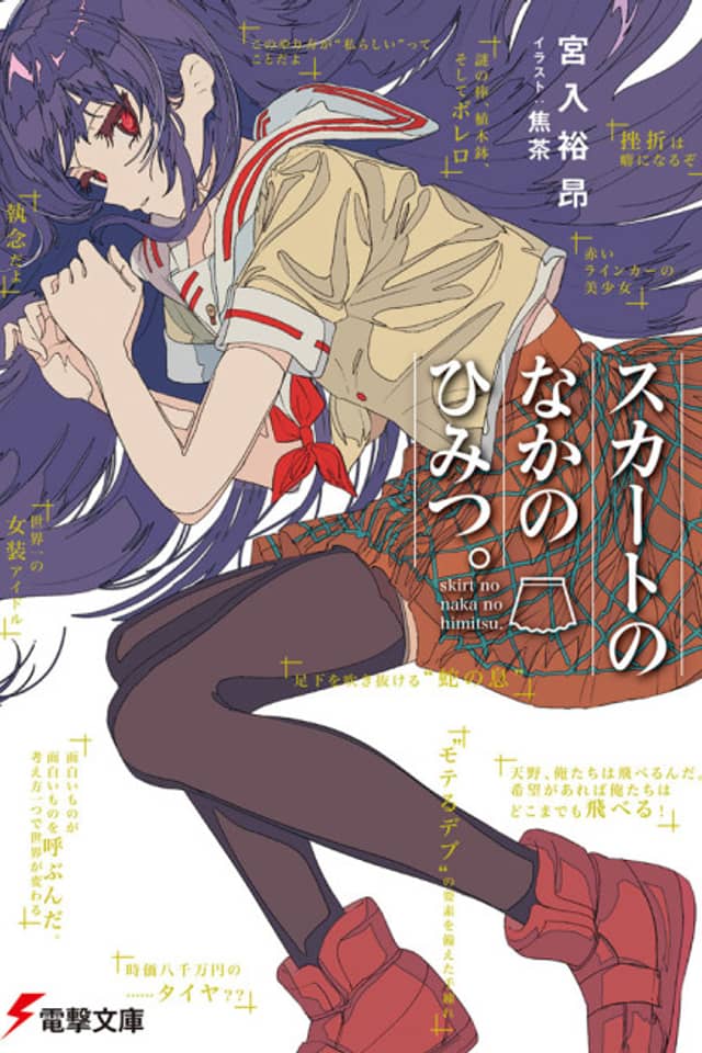 Skirt no Naka no Himitsu.