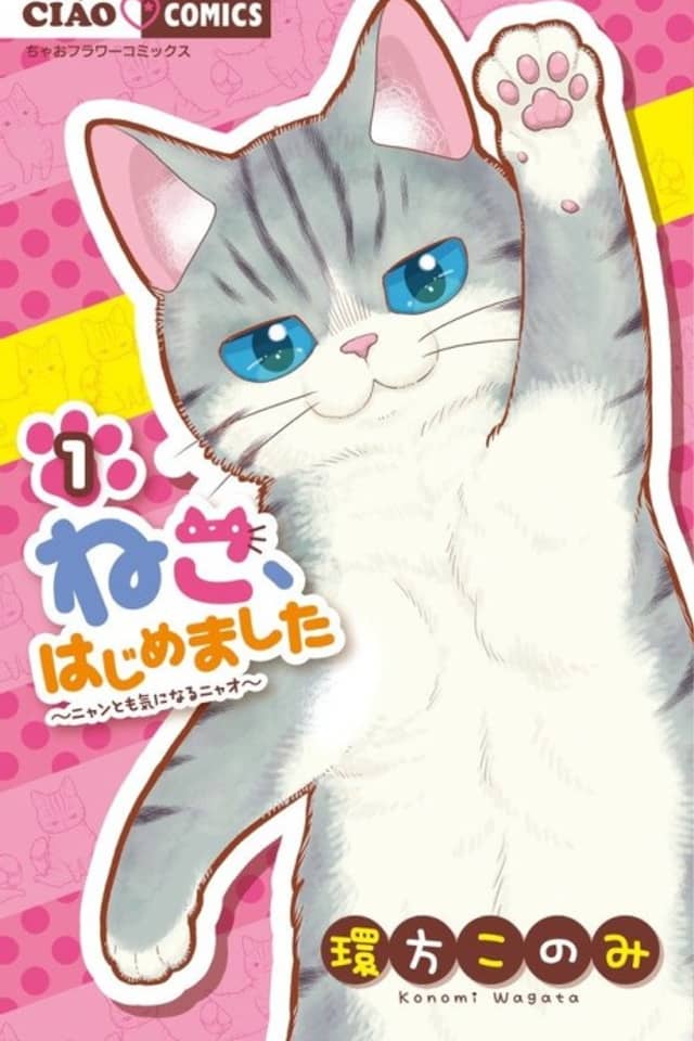 My New Life as a Cat