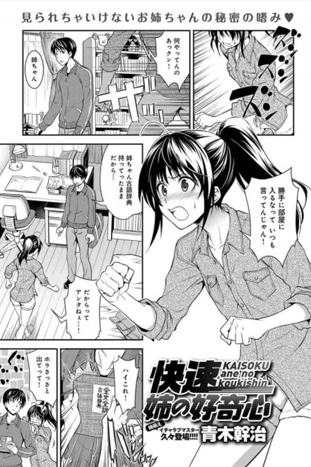 Kaisoku Ane no Koukishin