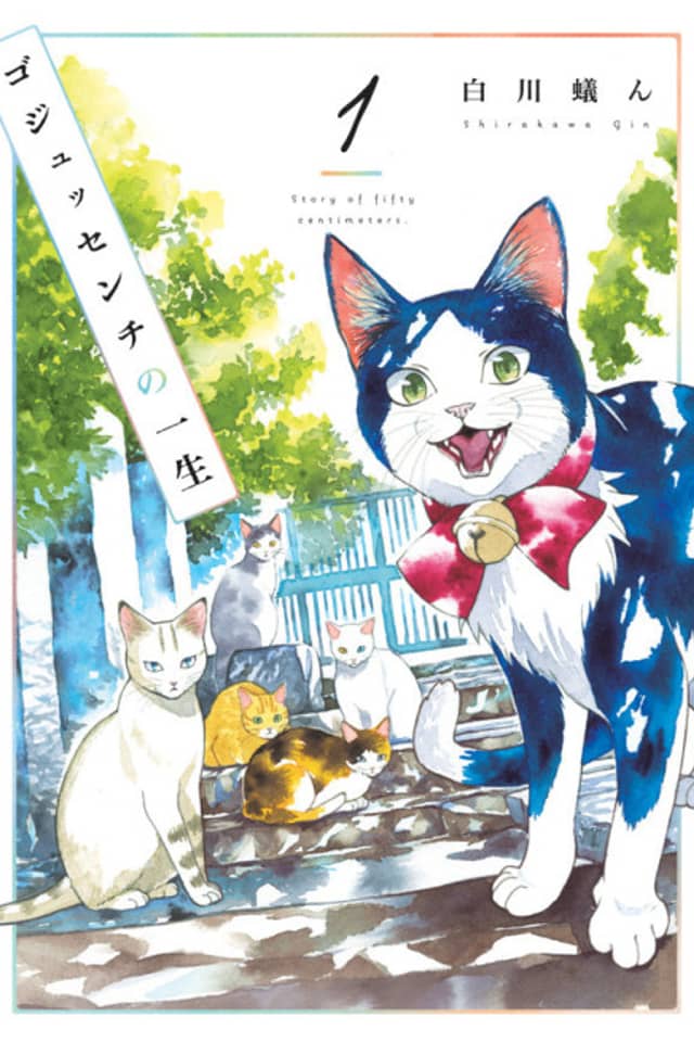 A Story of Seven Lives