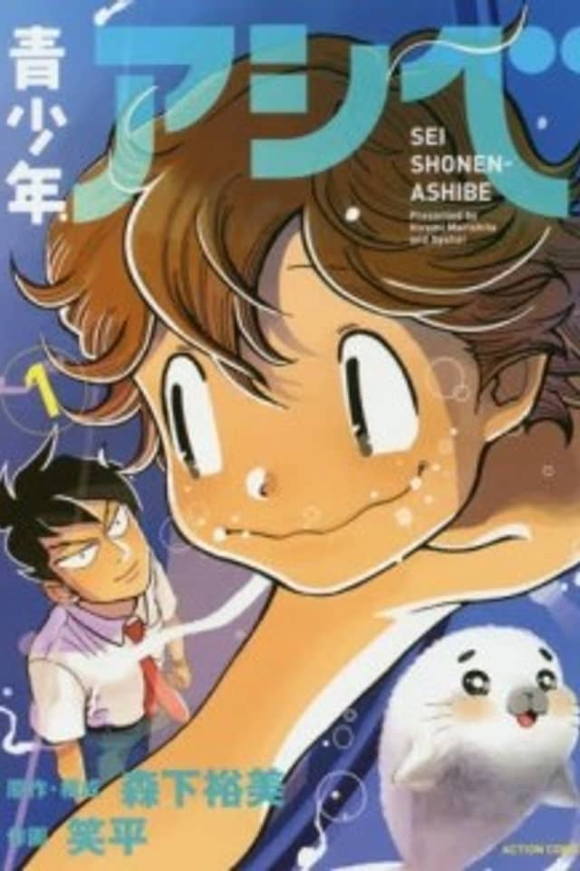 Seishounen Ashibe
