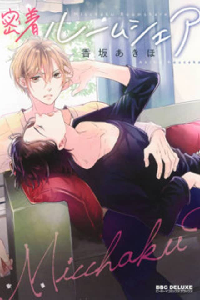 Micchaku Room Share