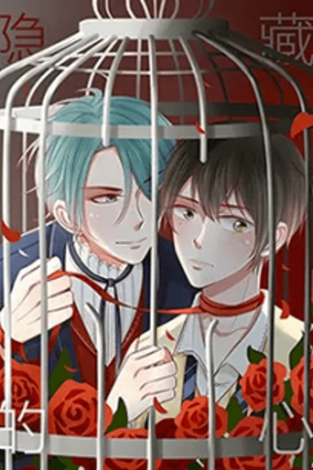 Hidden Heart