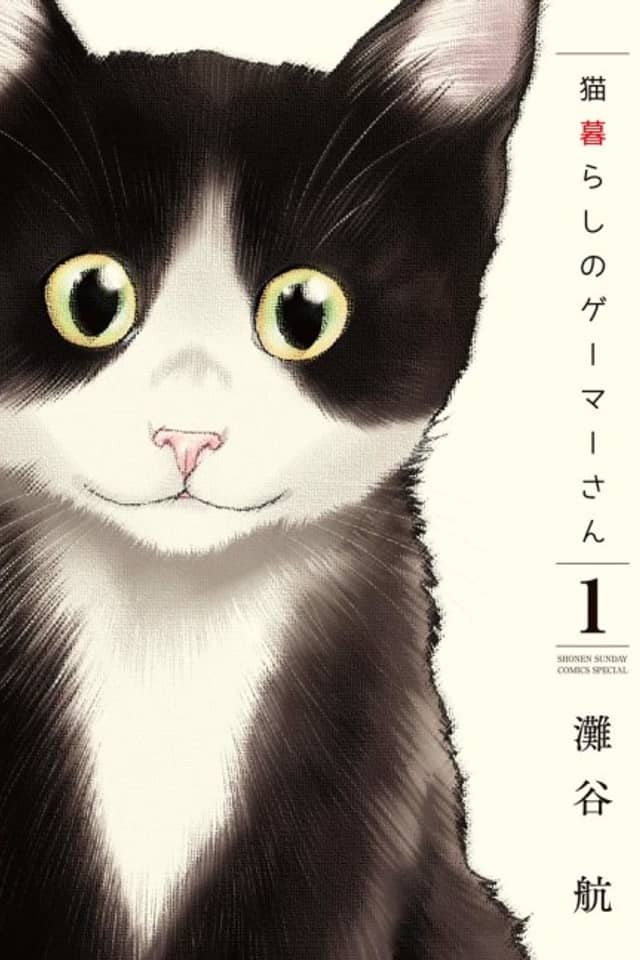 Cat + Gamer