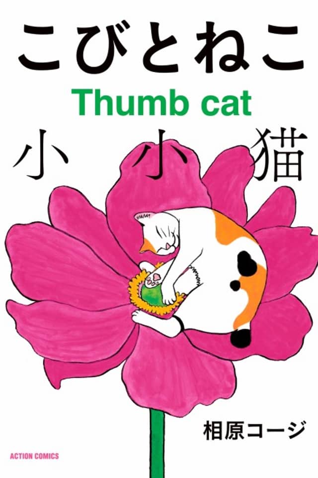 Kobito Neko