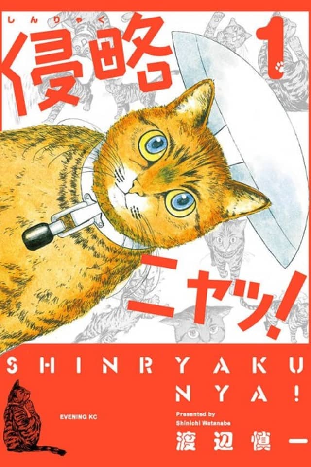 Shinryaku Nya!