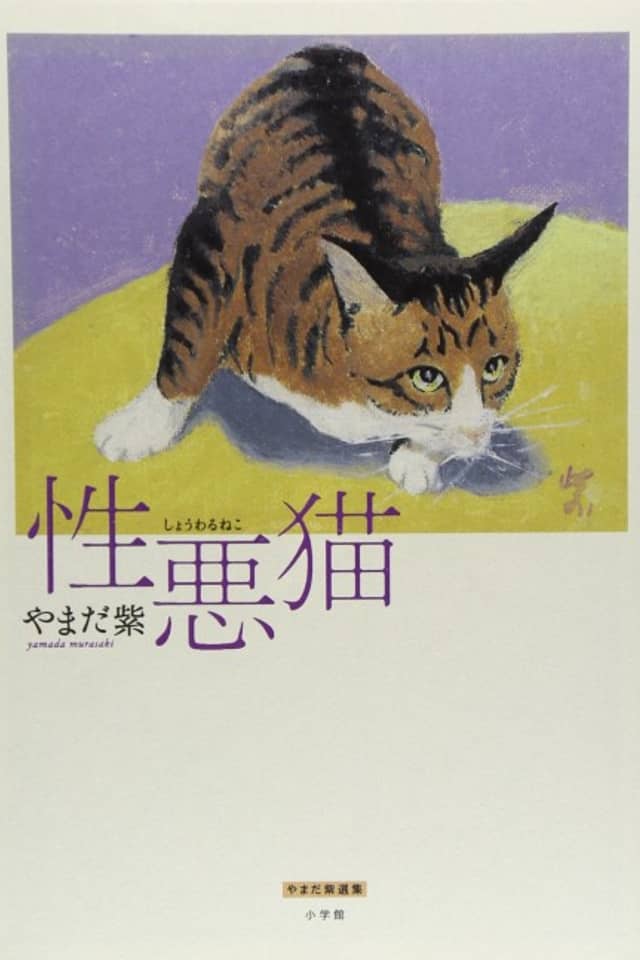 Sassy Cats