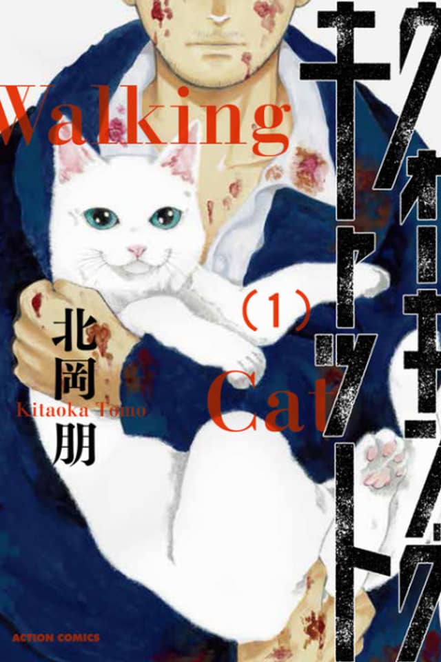 El gato ambulante