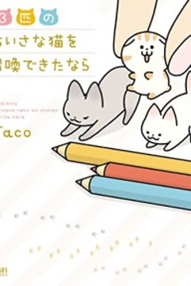 3-biki no Chiisana Neko wo Shoukan Dekita Nara