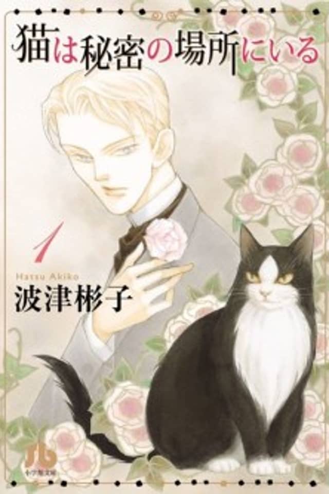 The Cat Is in a Secret Place