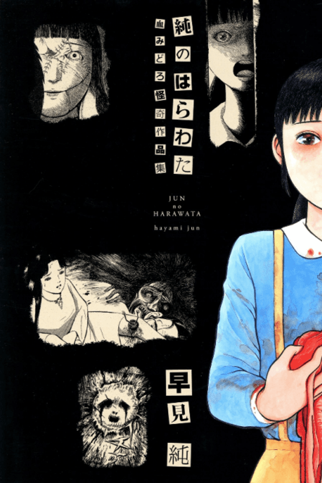 Jun's Guts: A Collection of Gory and Bizarre Works