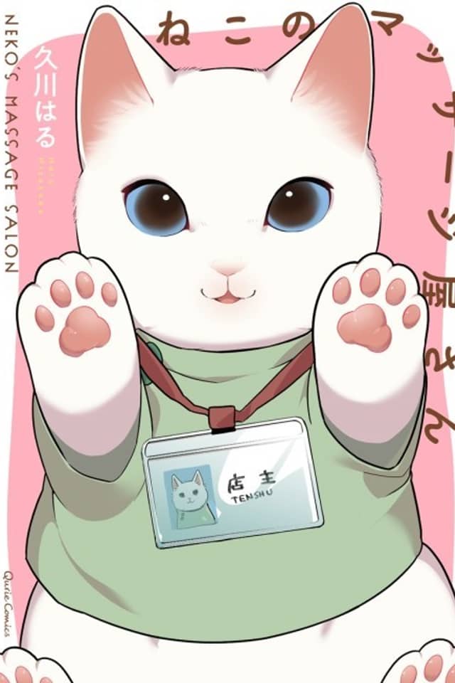 Cat Massage Therapy