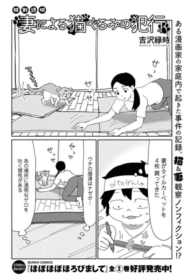 Tsuma ni Yoru Neko Gurumi no Hankou