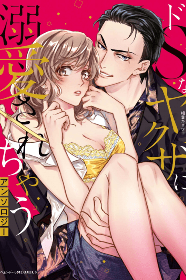 Do S na Yakuza ni Dekiai Sarechau Anthology